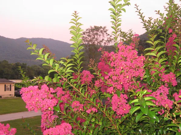 6 River Meadow Dr, Swannanoa, NC 28778