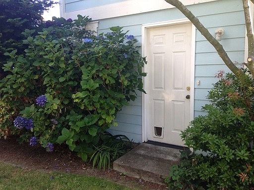 5th image of 1301 N 184th Ct
