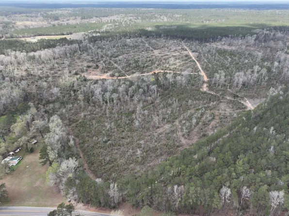 Twin Bridges Rd Lot Wp001, Elmer, LA 71424