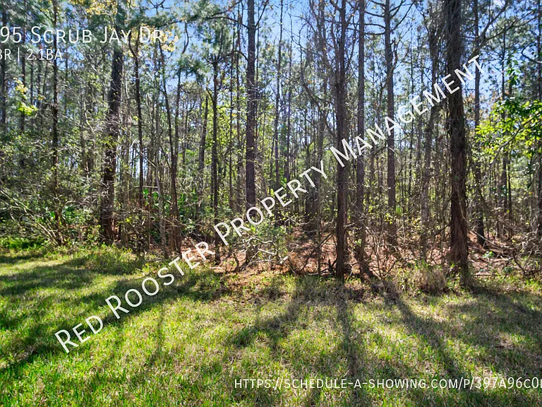 795 Scrub Jay Dr — Photo 15