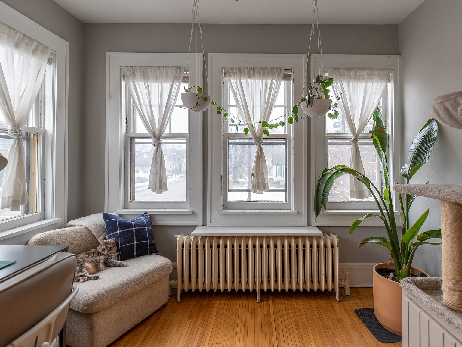 Upper-Level S Mpls Brownstone Unit Available 9/1 — Photo 3