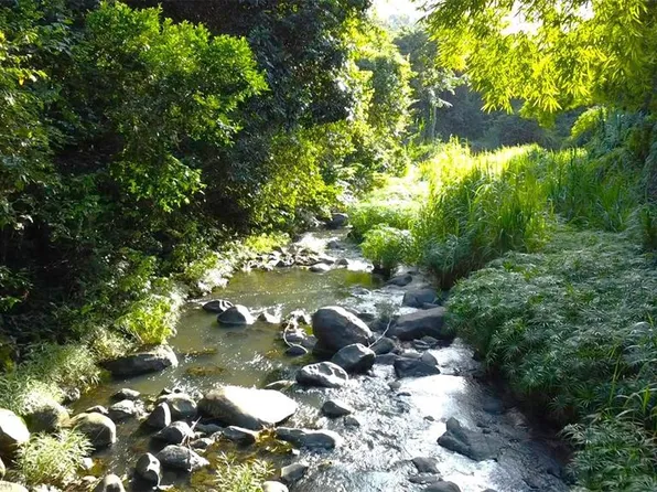 Bo Carruzo Sector, Carolina, PR 00987