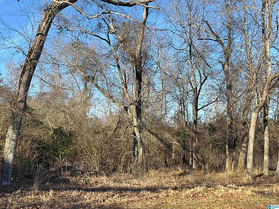 2nd image of 0 County Road 863 #0