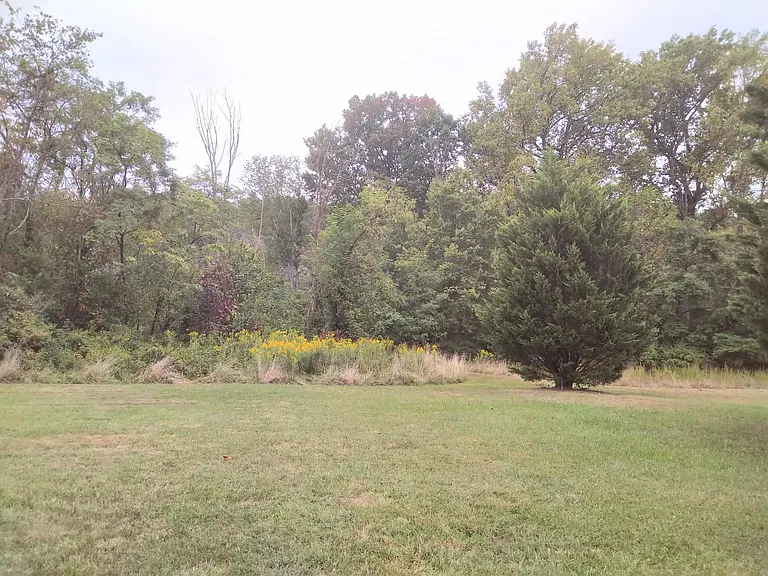 View towards back of cottage and on-site hiking trails