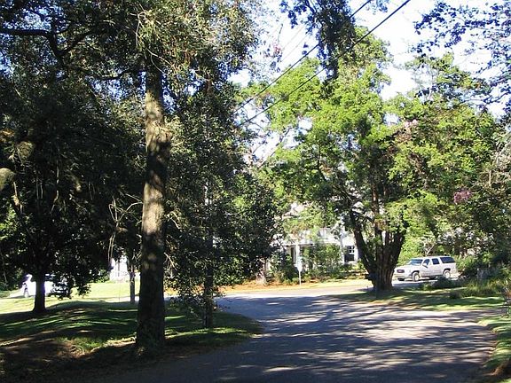 End of drive looking north
