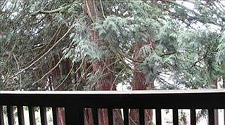 2nd image of 14116 NE 181st Pl #F202