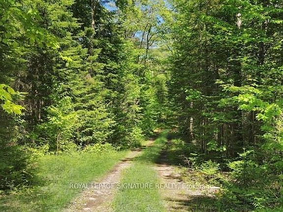 4th image of 0 Bobcaygeon Rd
