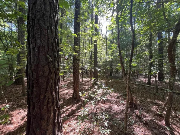 Highway 300, Barnwell, SC 29812