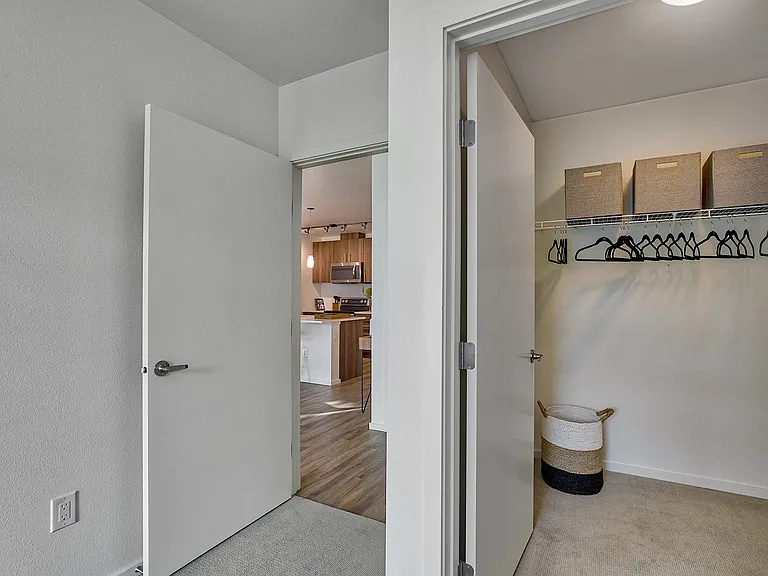 Large walk in closet in bedroom