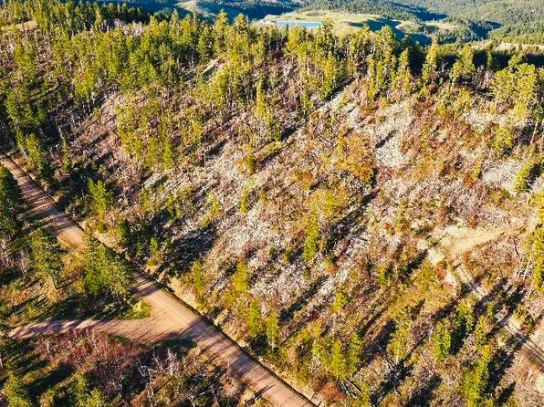 Tbd Terry Peak Summit Rd, Lead, SD 57754