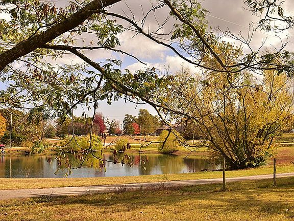 Neighboring Pond View