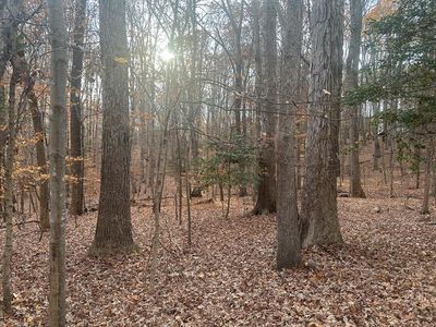 51 Maplewood Ct, Clarksville, VA, 23927
