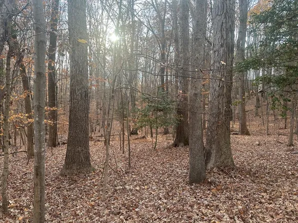 51 Maplewood Ct, Clarksville, VA 23927