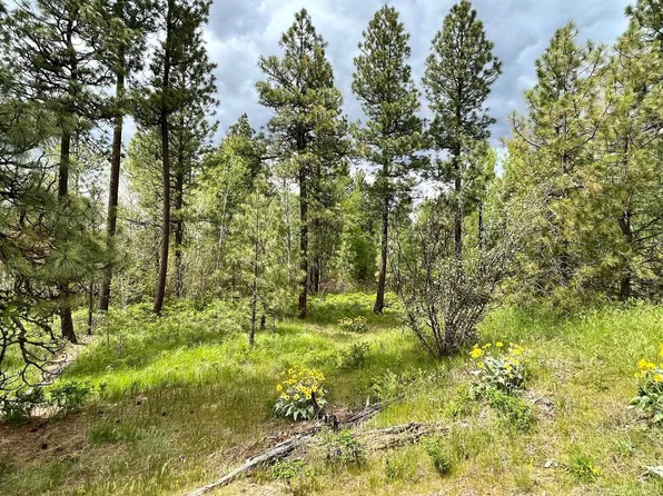 241213 W Kitt Rd, Reardan, WA 99029