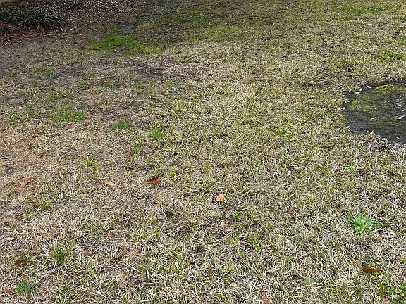 4th image of 325 Kauffman St.