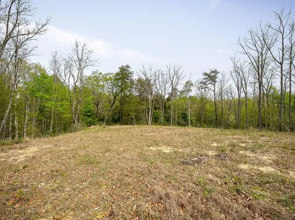 117 Fox Run Ct, Monterey, TN 38574
