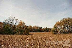 Fantasitc open areas