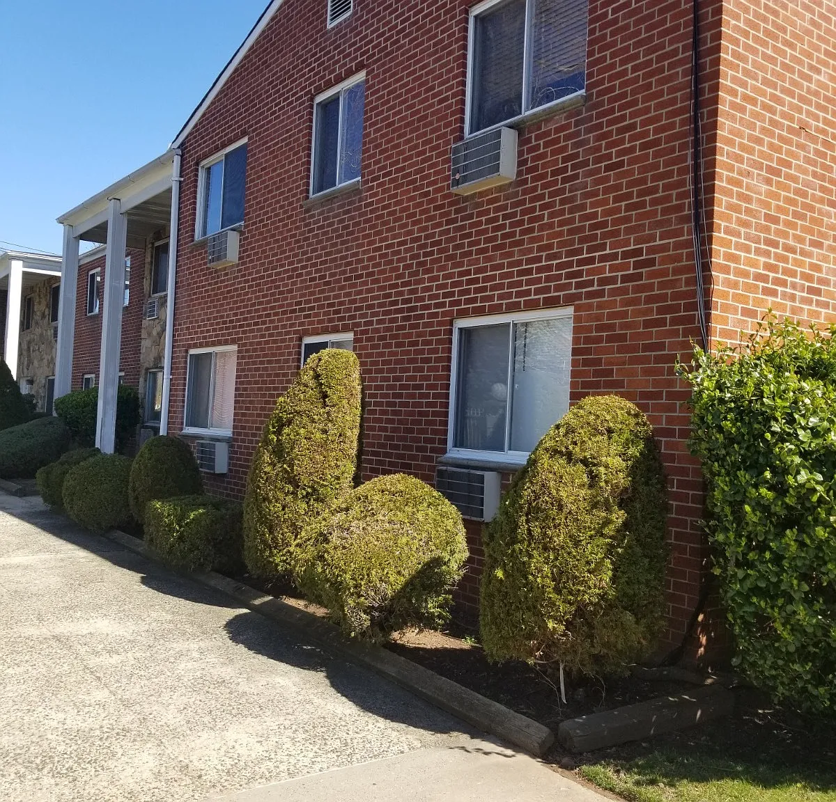 2 bed, 1.0 bath, 790 sqft, $2,500 — Photo 3