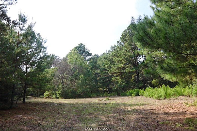 1st image of County Road 407
