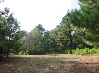 County Road 407, Navasota, TX 77868