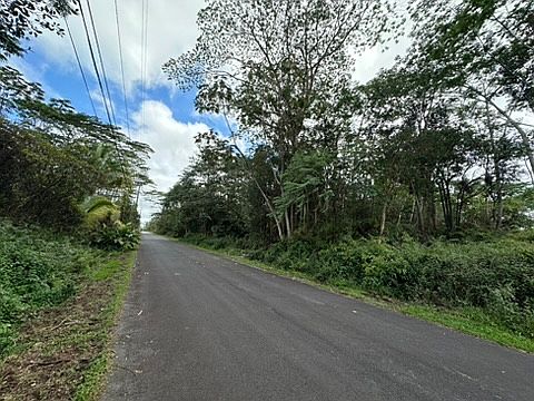 3rd image of Kupono St Lot 78