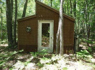 Silery Rd, Indian River, MI 49749