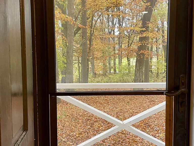View from dining room
