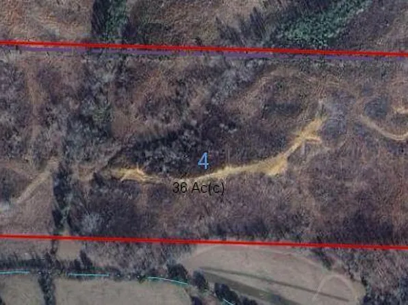 County Road 54, Guin, AL 35563