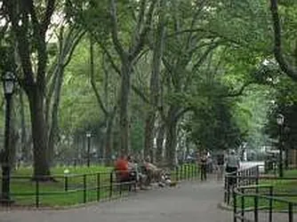 Rented by Rivington Street Leasing