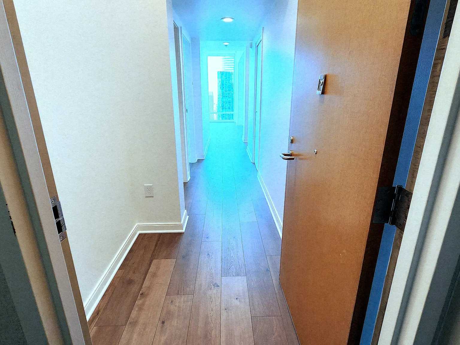 2 bed, 1238 sqft, $8,000 — Photo 3