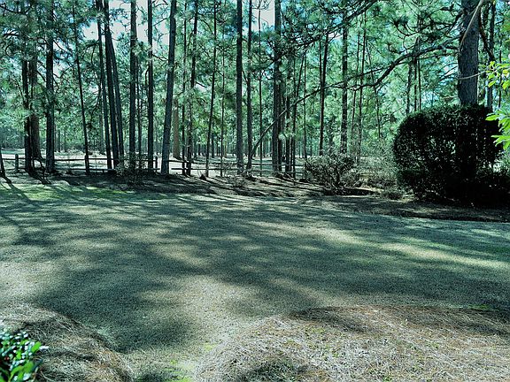 View from patio