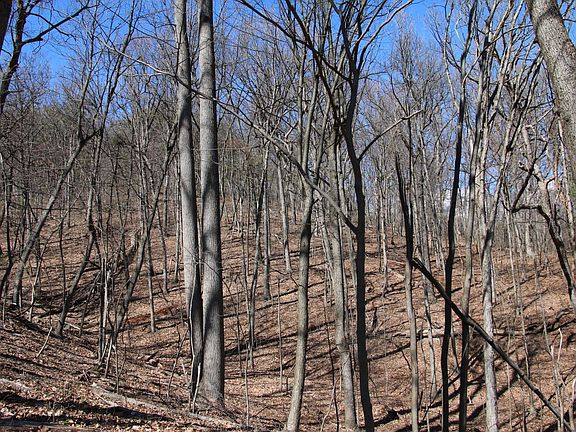 4th image of 564 Jesse Ln Lot Wp001