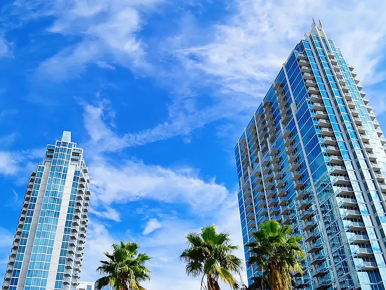 Sunny Day in Tampa Featuring Glass High-Rise Towers with Palm Trees