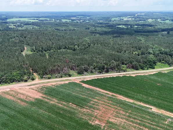 154 County Rd, Banks, AL 36005