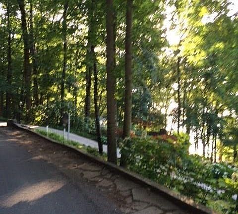 5th image of Wyeth Dr