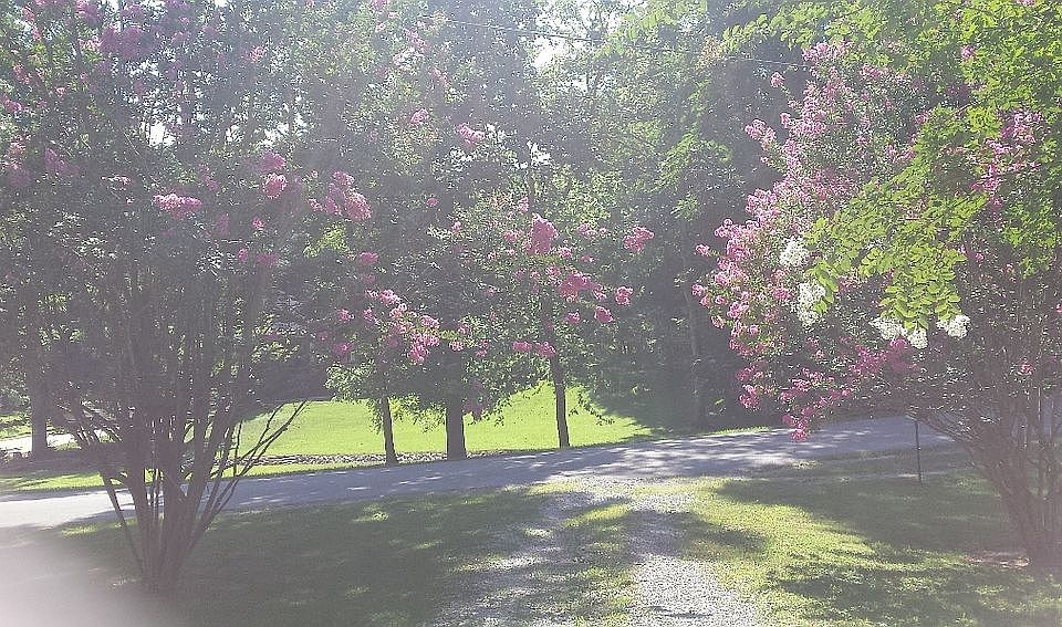 Looking down driveway...