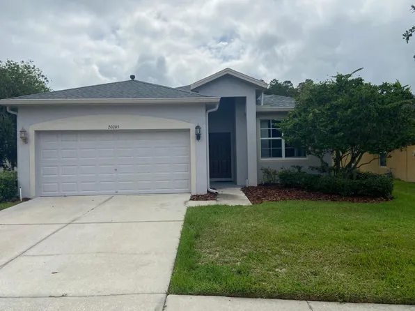 20205 Merry Oak Ave, Tampa, FL 33647