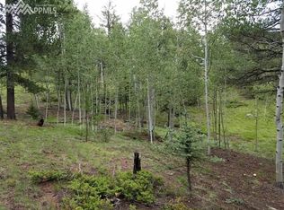 26 Mica Rd, Divide, CO 80814