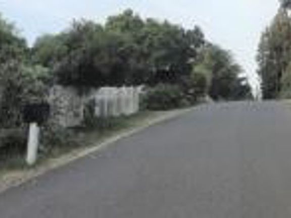 Exterior Neighborhood (street photo)