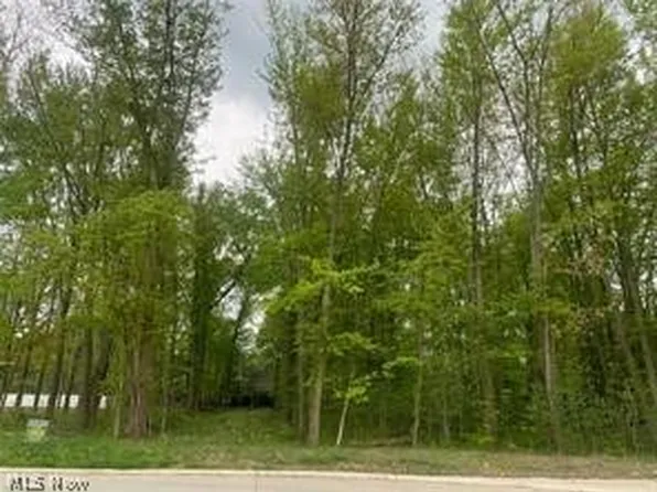 S/l 4 Carlton Ave, Westlake, OH 44145