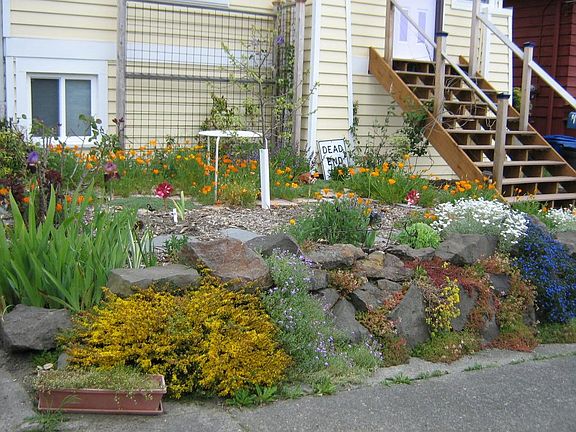 These plants are all a lot bigger now...