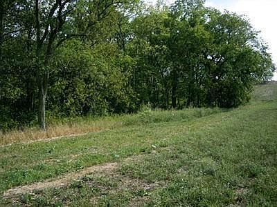 5th image of 430 Chrisman Oaks Trl