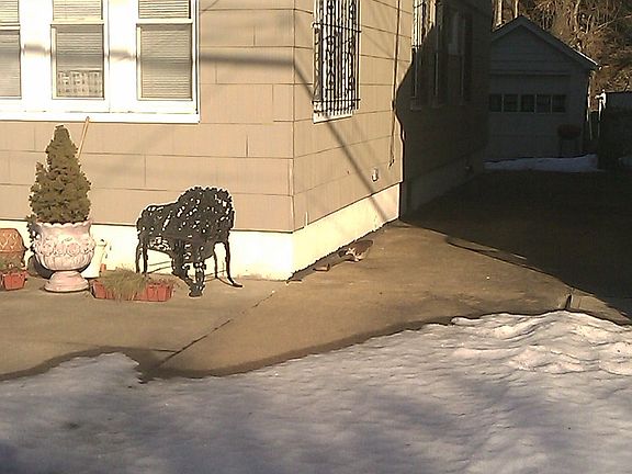 5th image of 6901 Alderton St