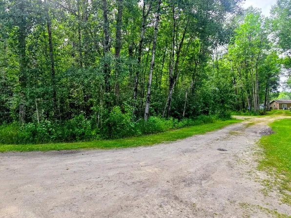 E Pine Dr NW, Angle Inlet, MN 56711