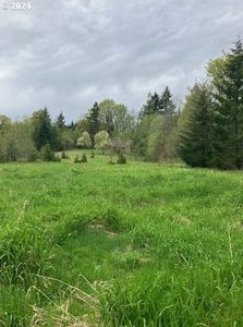 0 Anliker Rd, Deer Island, OR, 97054