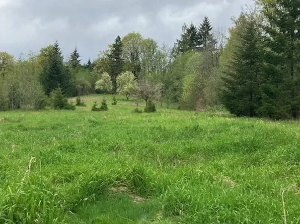 0 Anliker Rd, Deer Island, OR 97054