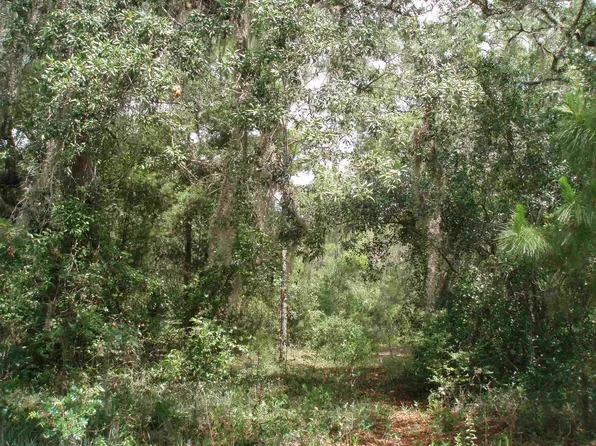 3381 3rd St, Elkton, FL 32033