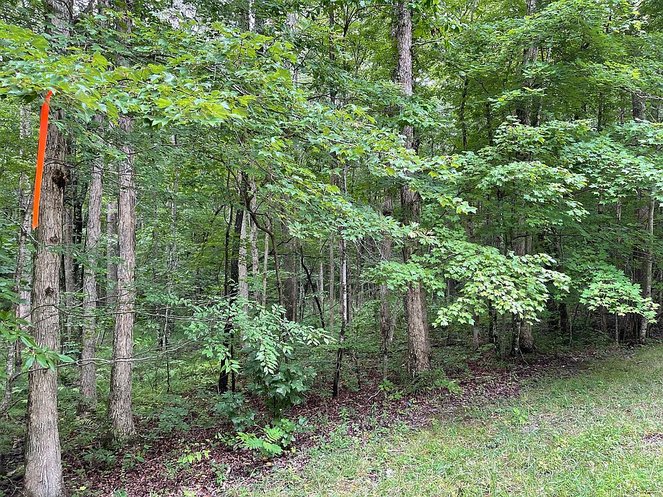 2nd image of Huckleberry Rd #5