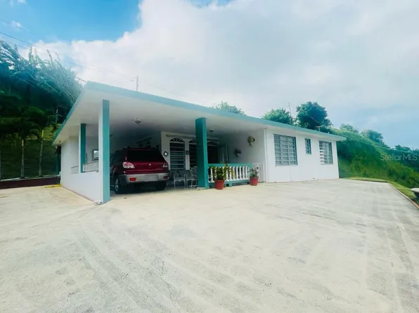 Carr 155 Km 31.7 Bo Gato, Orocovis, PR 00720