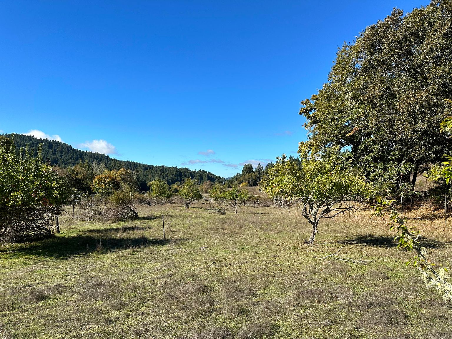29769 Alderpoint Rd, Blocksburg, CA 95514 MLS 265944 Zillow